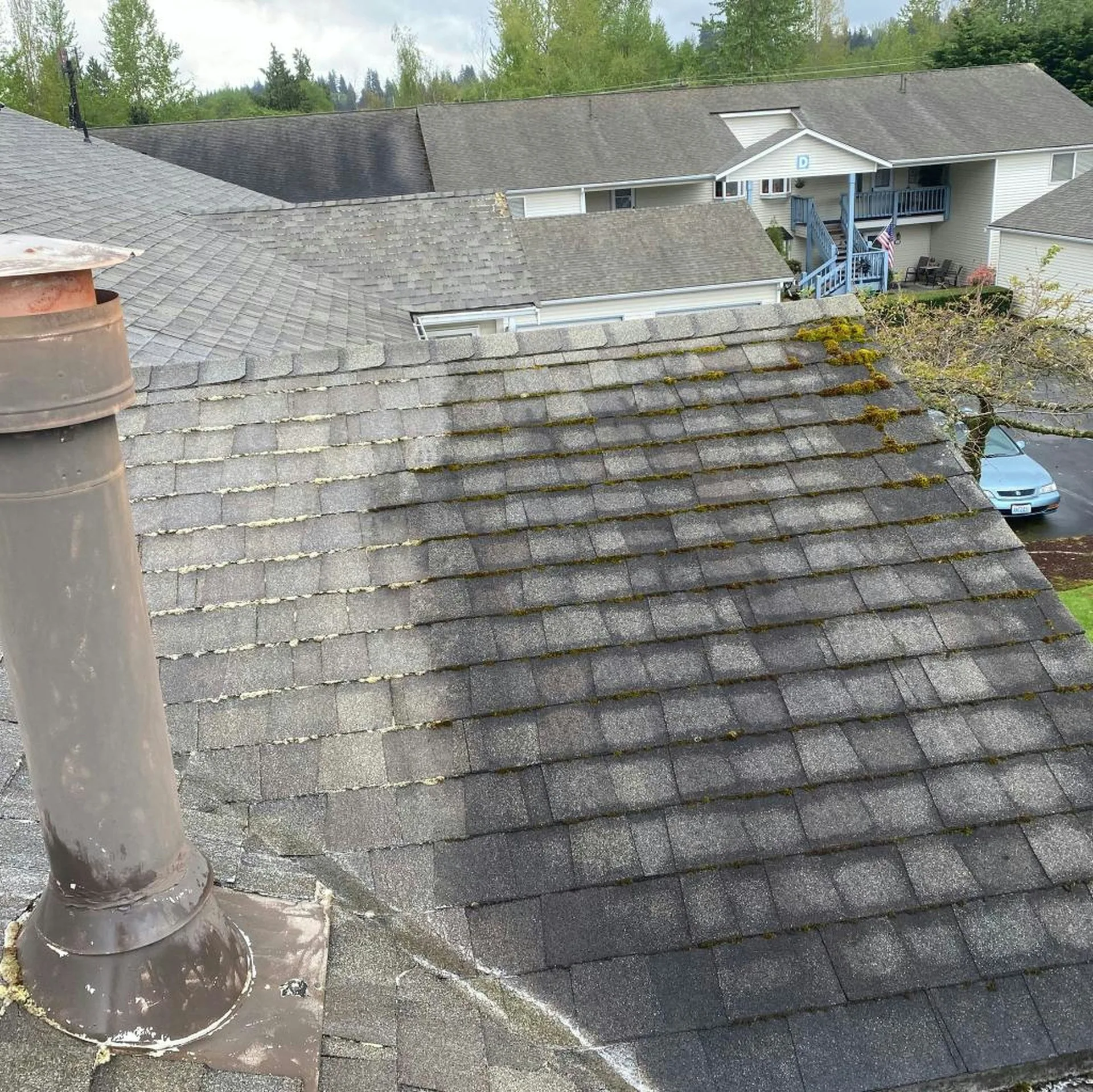 Before and after cleaning on a Hamilton deck